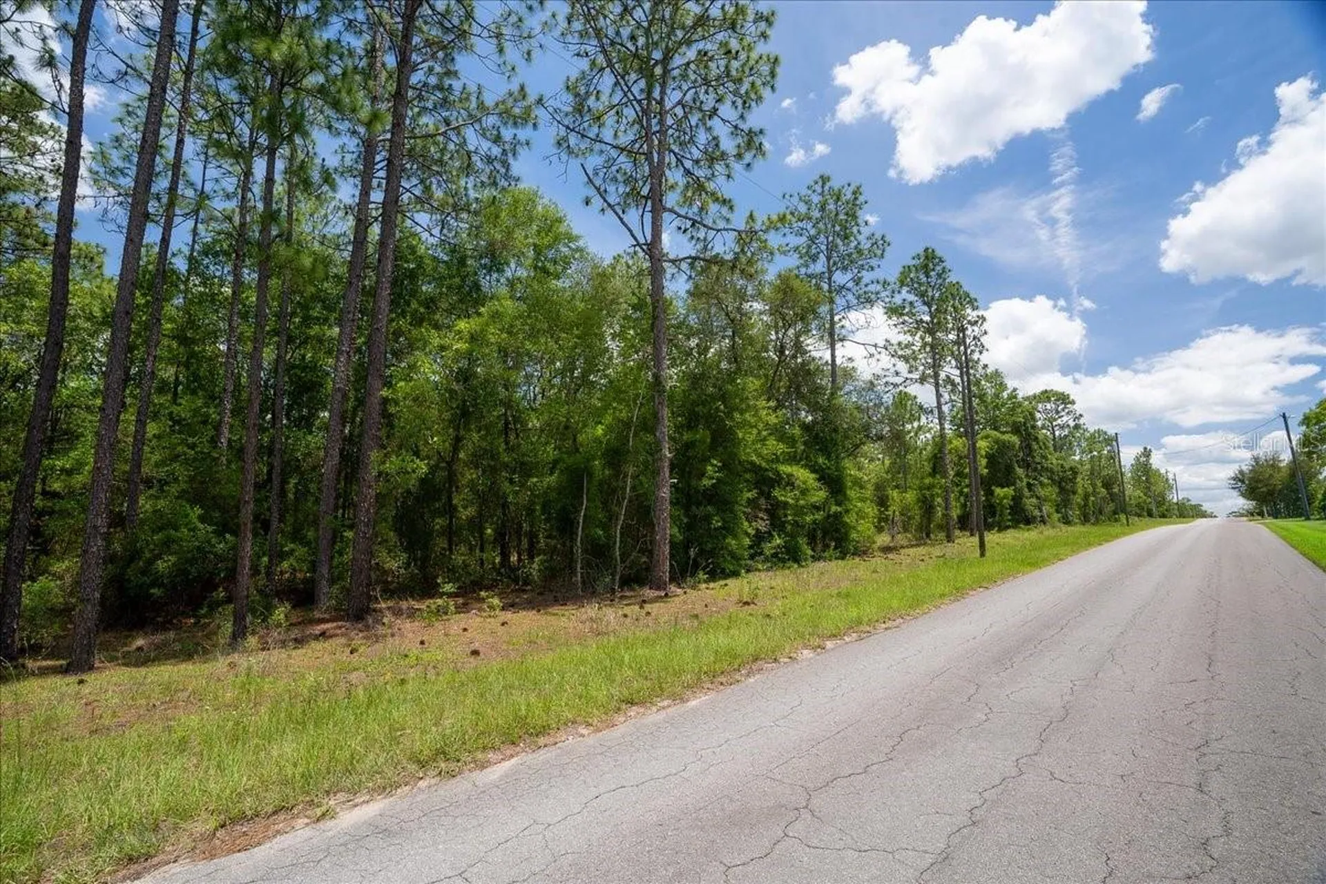 150TH Avenue Williston FL 32696