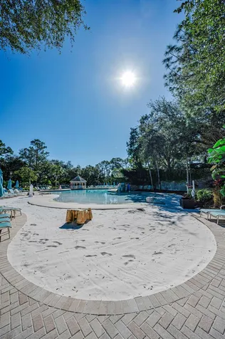 36750 Us Highway 19 N Palm Harbor FL 34684
