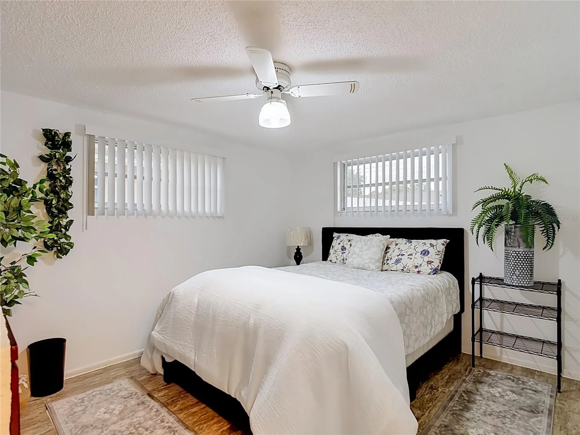 6145 1st Avenue New Port Richey FL 34653