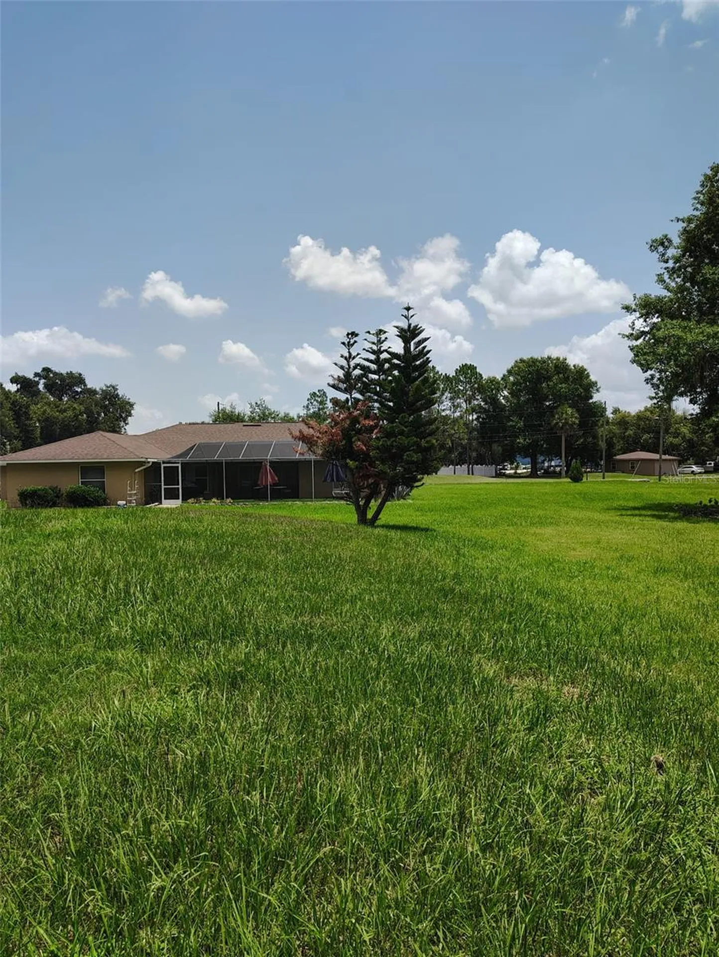3226 Wheeler Court Dover FL 33527