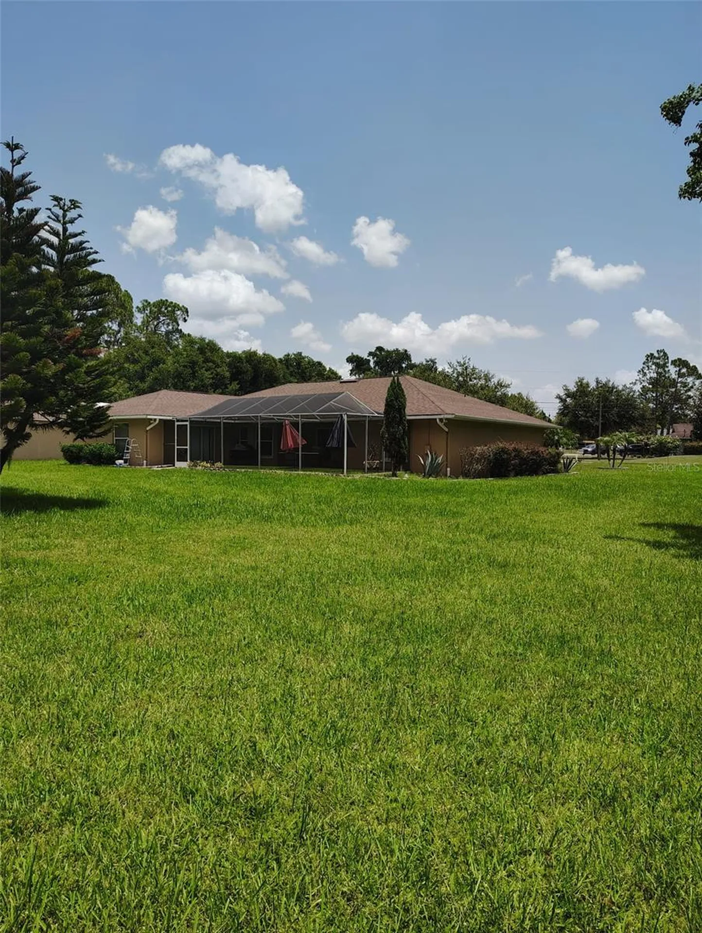 3226 Wheeler Court Dover FL 33527