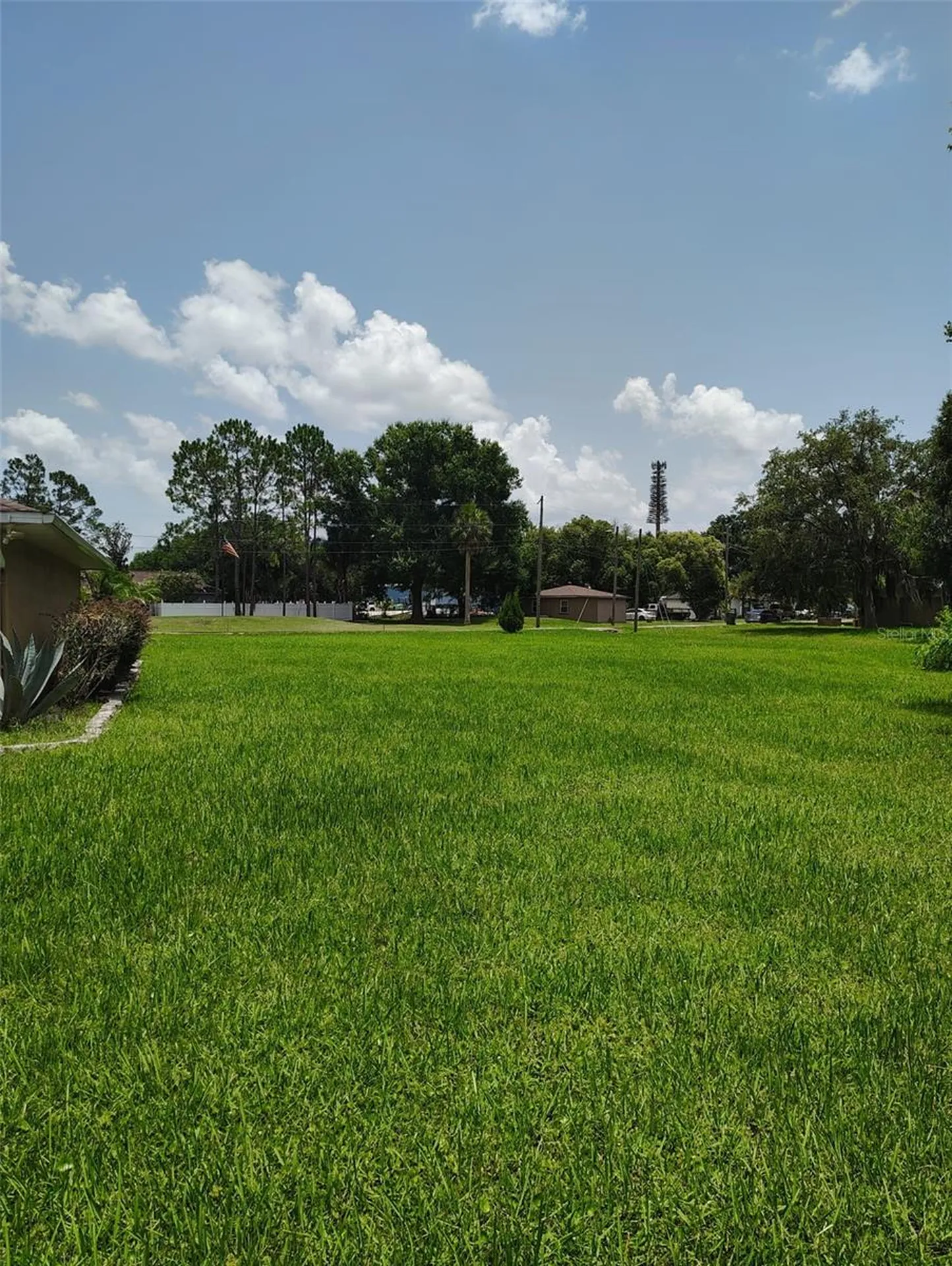 3226 Wheeler Court Dover FL 33527