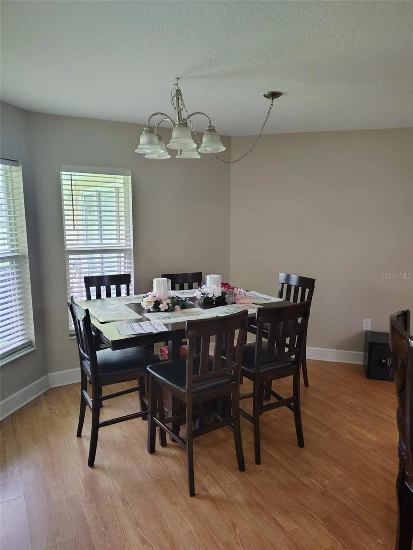 3226 Wheeler Court Dover FL 33527
