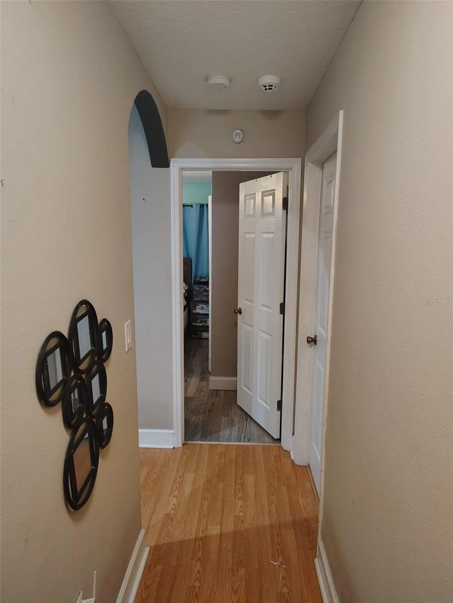 3226 Wheeler Court Dover FL 33527