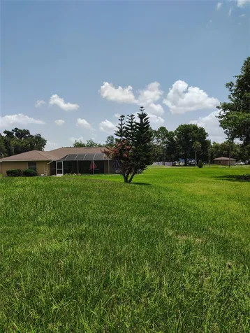 3226 Wheeler Court Dover FL 33527