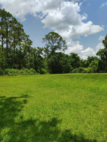 3226 Wheeler Court Dover FL 33527