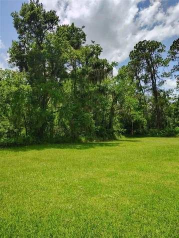 3226 Wheeler Court Dover FL 33527