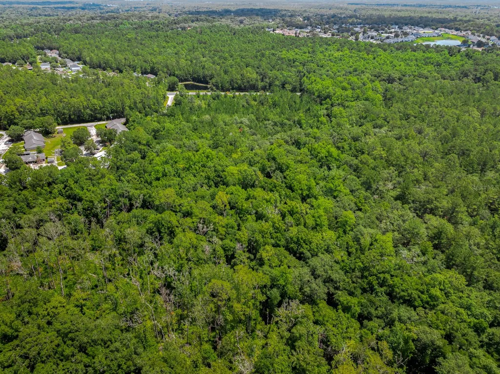 3779 County Road 218 Middleburg FL 32068
