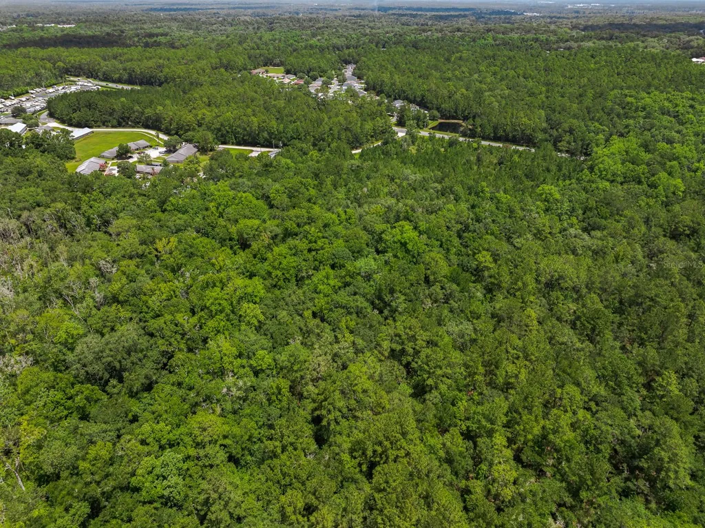 3779 County Road 218 Middleburg FL 32068