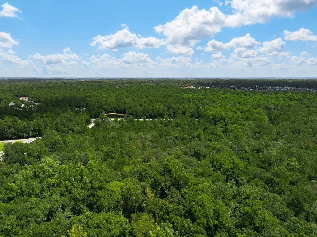 3779 County Road 218 Middleburg FL 32068