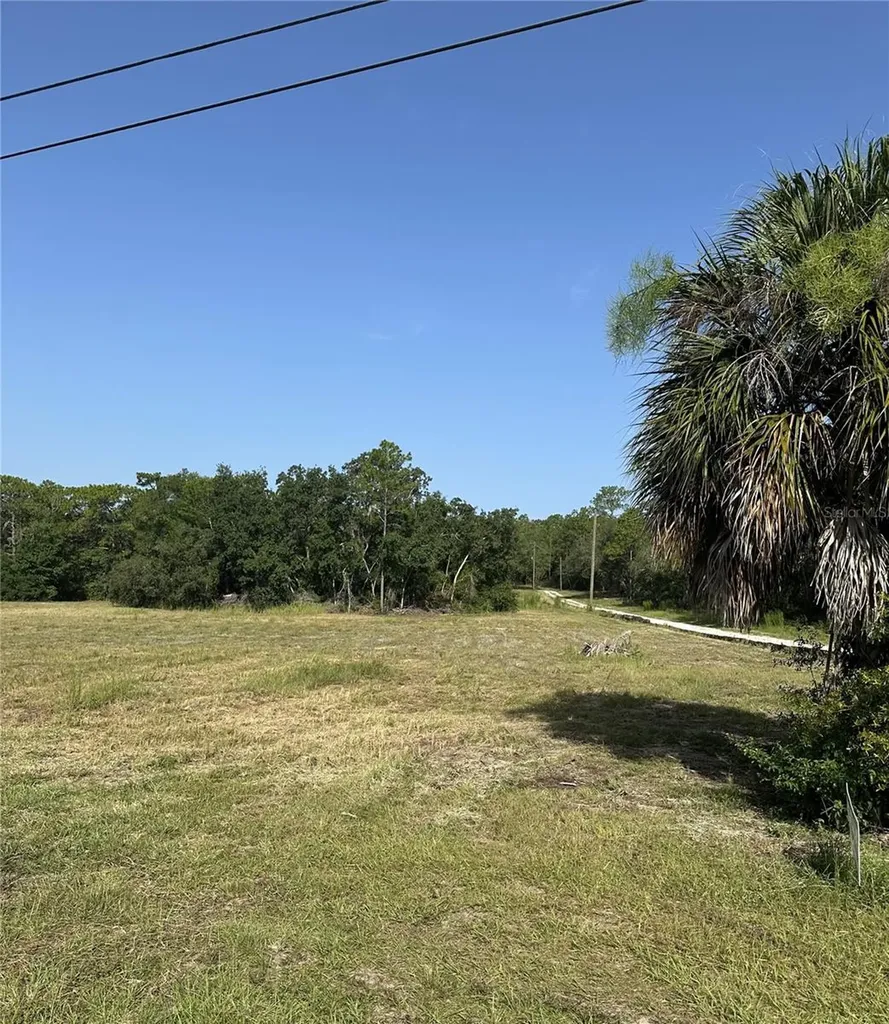 11360 S Florida Avenue Floral City FL 34436