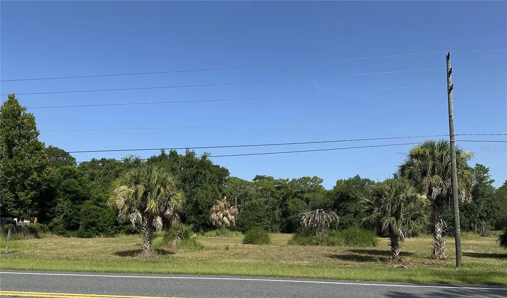 11360 S Florida Avenue Floral City FL 34436
