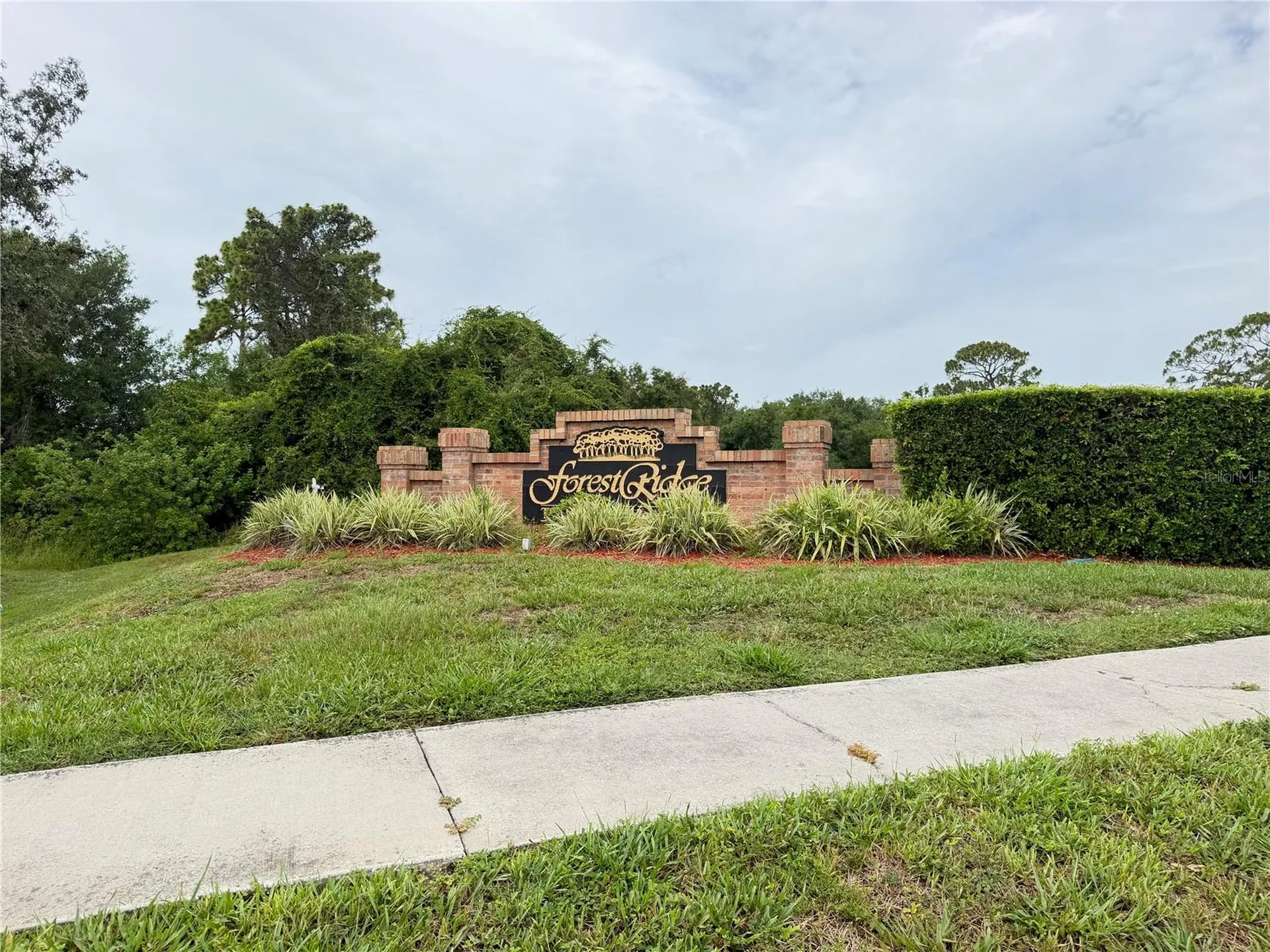 1959 Wood Trail Street Tarpon Springs FL 34689