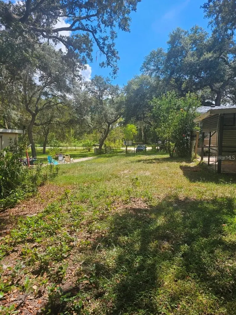 18111 SE 24th Street Silver Springs FL 34488