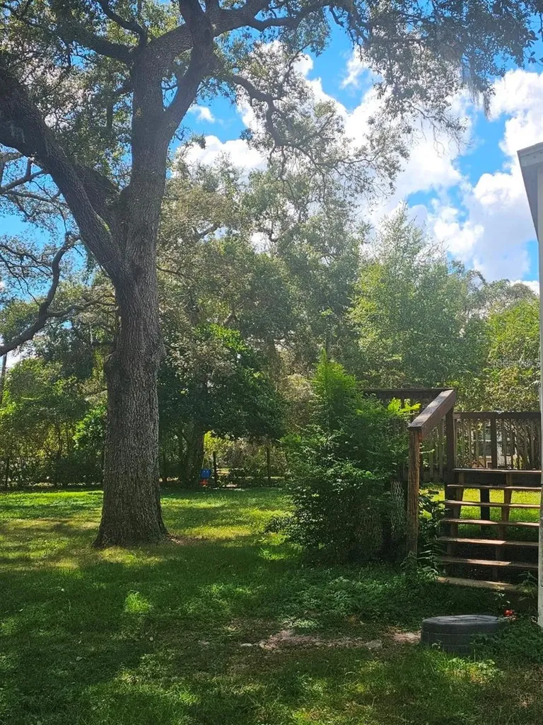 18111 SE 24th Street Silver Springs FL 34488