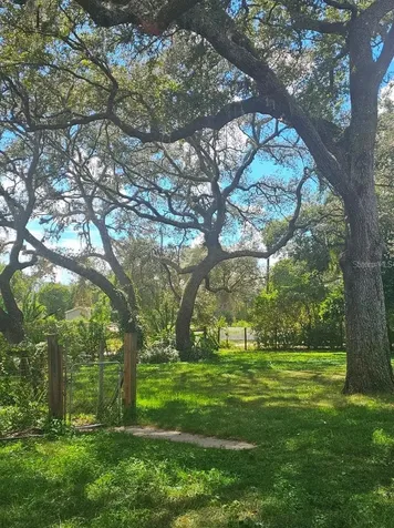 18111 SE 24th Street Silver Springs FL 34488