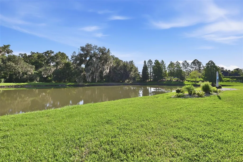 7121 Hatpin Loop Wesley Chapel FL 33545