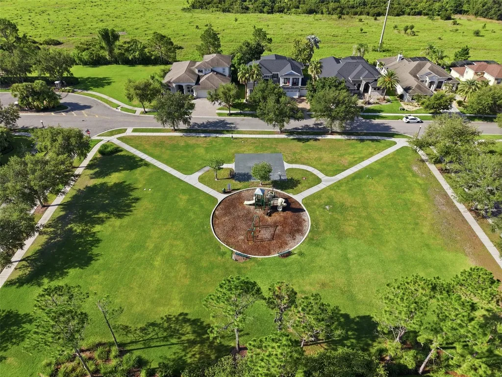 7121 Hatpin Loop Wesley Chapel FL 33545