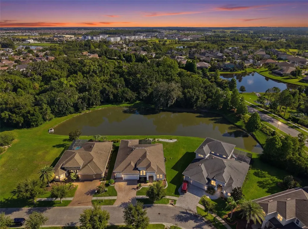 7121 Hatpin Loop Wesley Chapel FL 33545