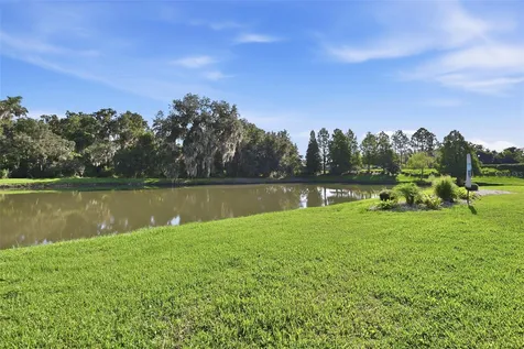 7121 Hatpin Loop Wesley Chapel FL 33545