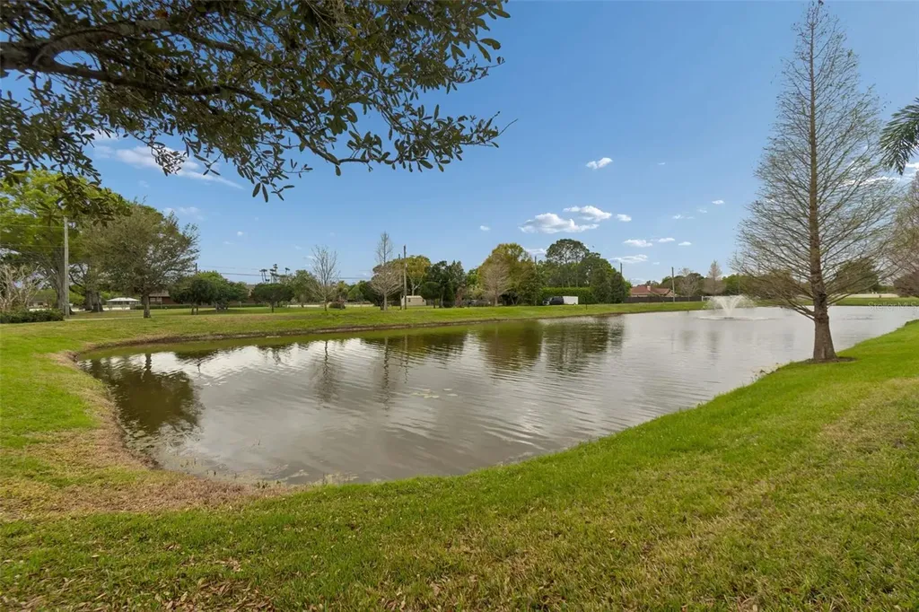 11512 Navel Orange Way Tampa FL 33626