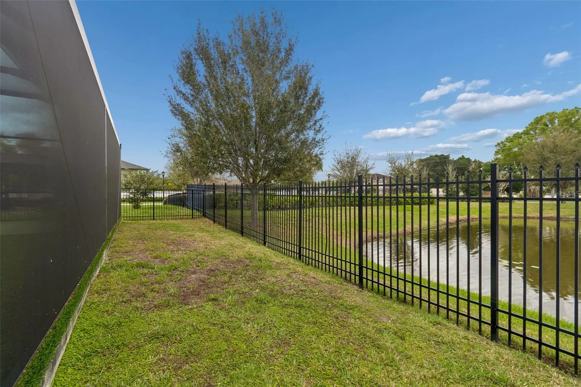 11512 Navel Orange Way Tampa FL 33626