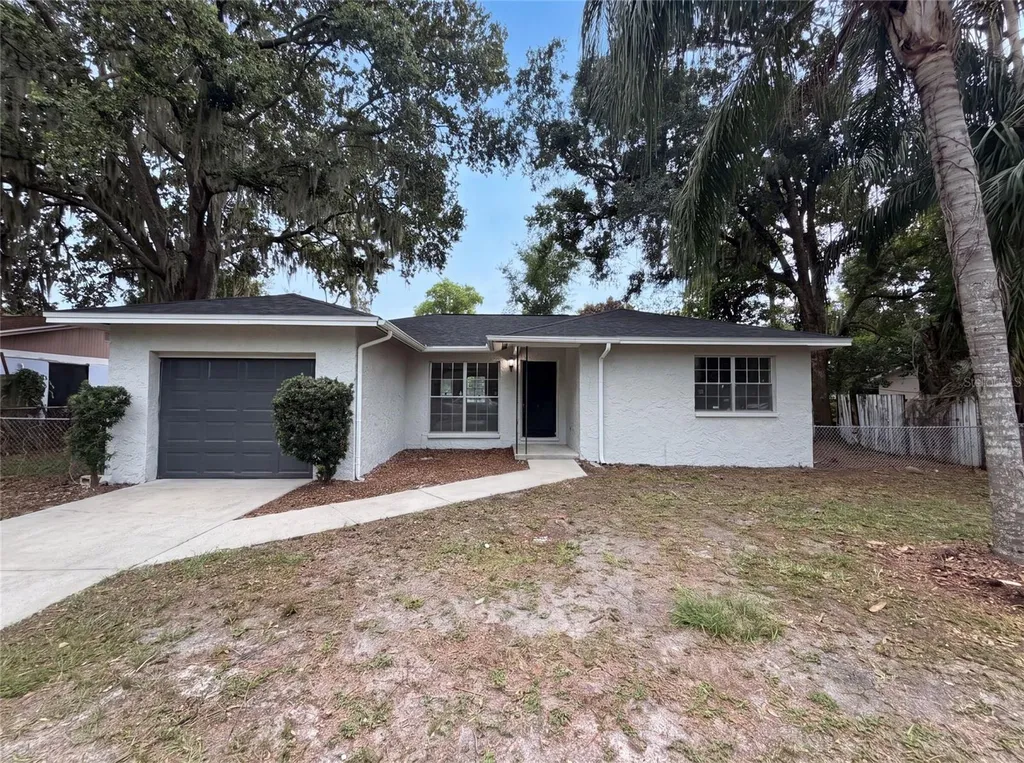 4209 E Alene Drive Tampa FL 33617