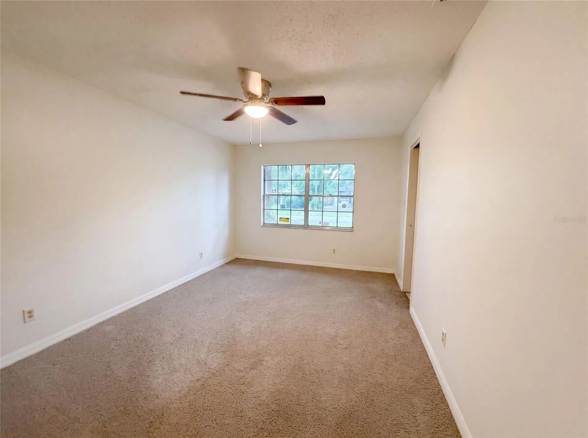 4209 E Alene Drive Tampa FL 33617