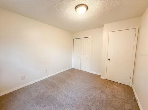 4209 E Alene Drive Tampa FL 33617
