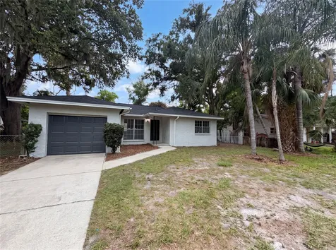 4209 E Alene Drive Tampa FL 33617