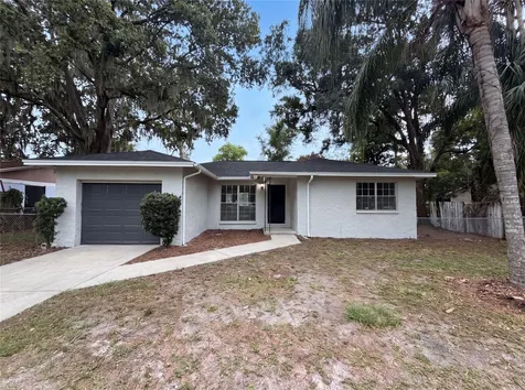 4209 E Alene Drive Tampa FL 33617