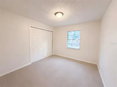 4209 E Alene Drive Tampa FL 33617