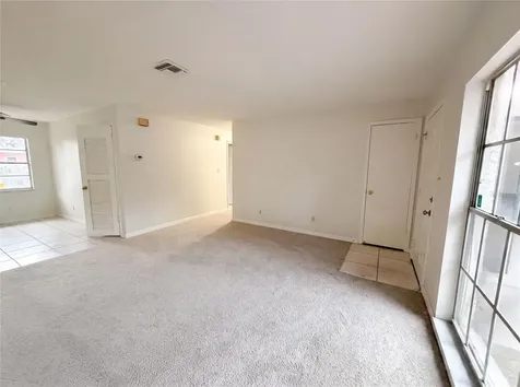 4209 E Alene Drive Tampa FL 33617