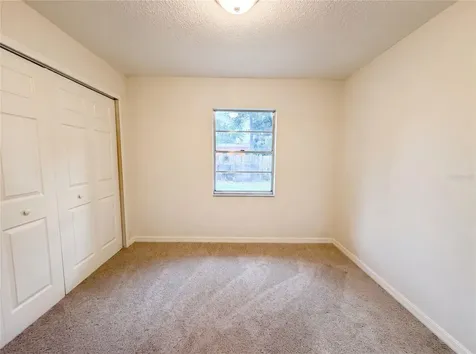 4209 E Alene Drive Tampa FL 33617