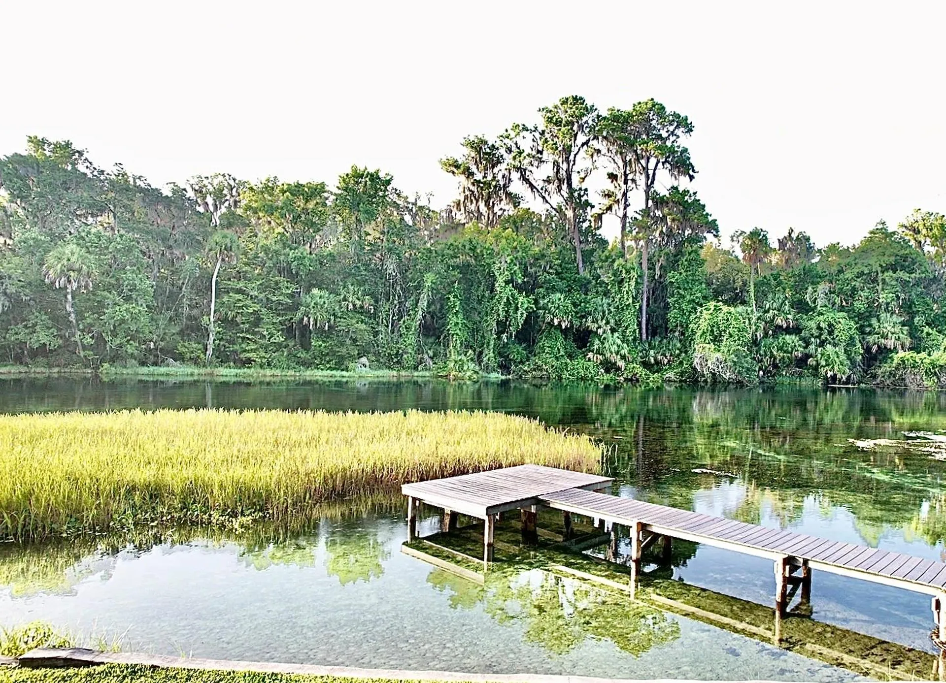 9275 SW 186th Terrace Dunnellon FL 34432