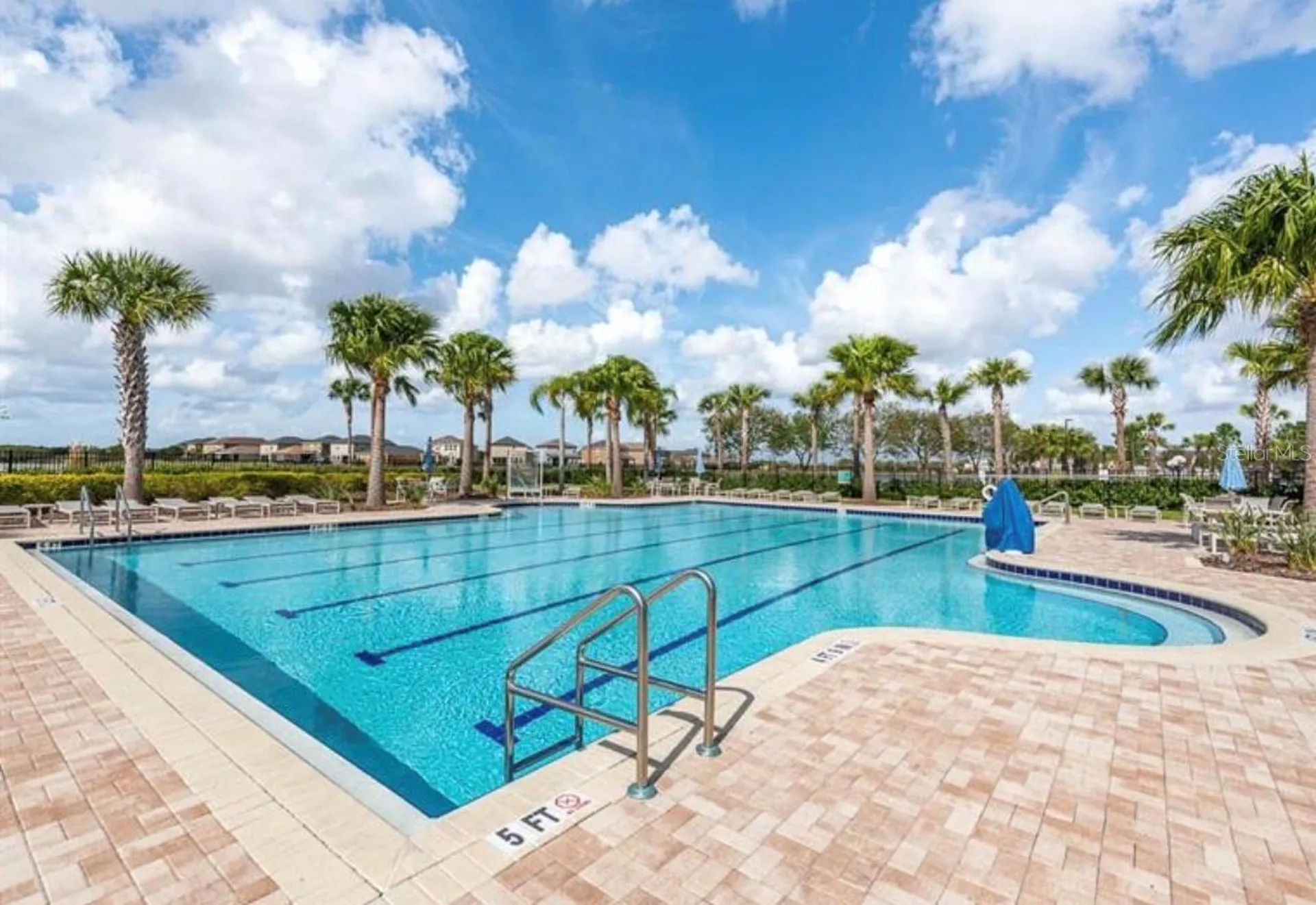 9831 Lemon Drop Loop Ruskin FL 33573