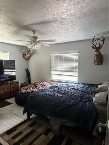 2436 Claire Avenue New Smyrna Beach FL 32168