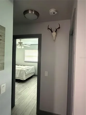 2436 Claire Avenue New Smyrna Beach FL 32168
