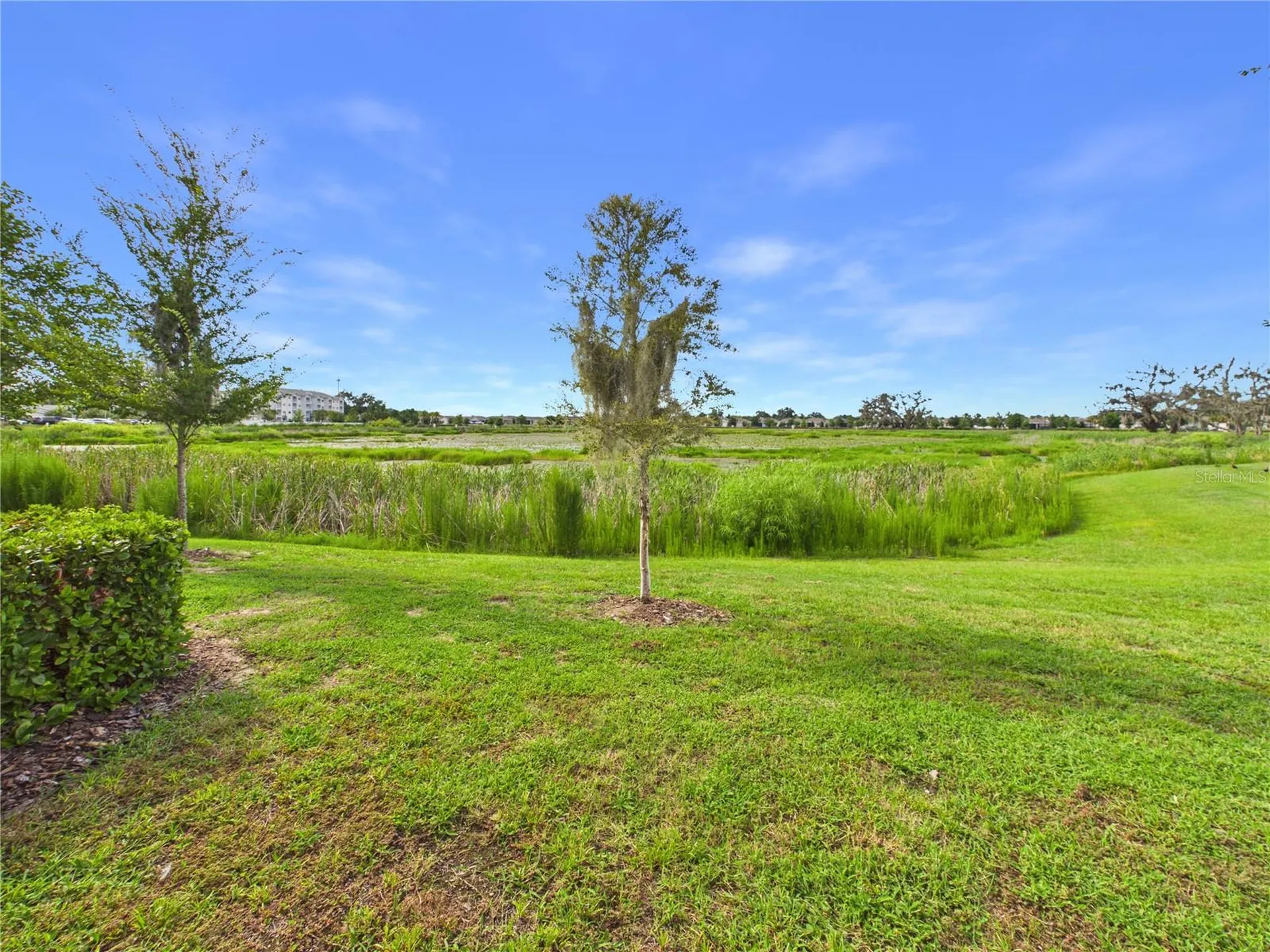5262 Dragonfly Drive Wildwood FL 34785