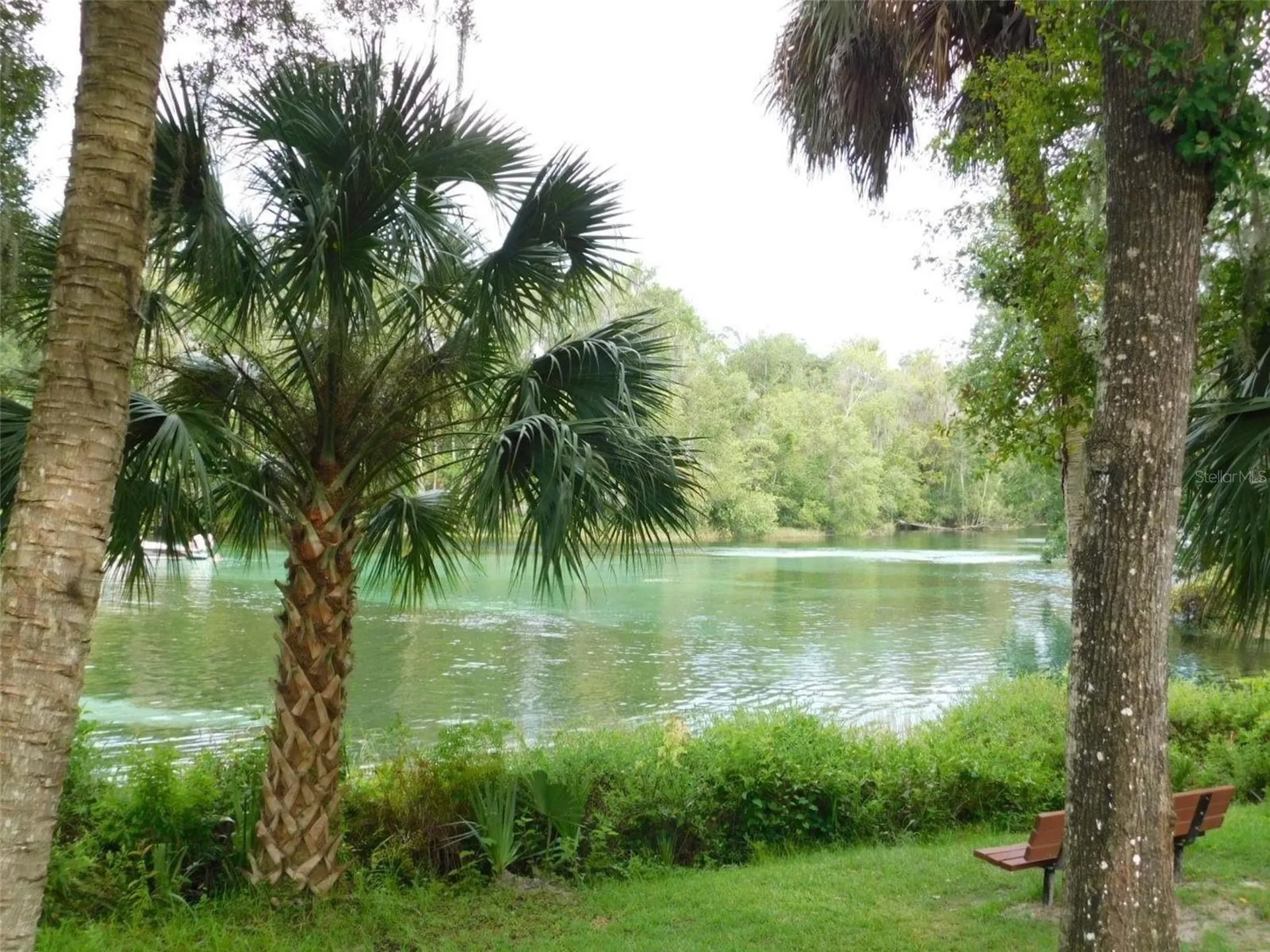9491 SW 200th Court Dunnellon FL 34431