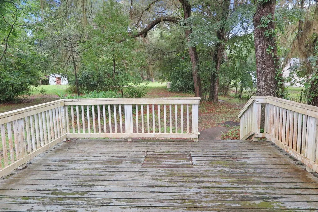 11519 SE 225th Drive Hawthorne FL 32640