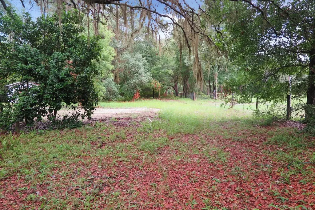 11519 SE 225th Drive Hawthorne FL 32640