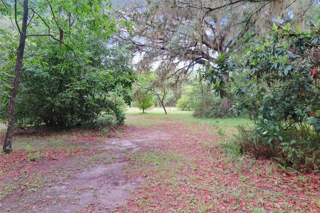 11519 SE 225th Drive Hawthorne FL 32640
