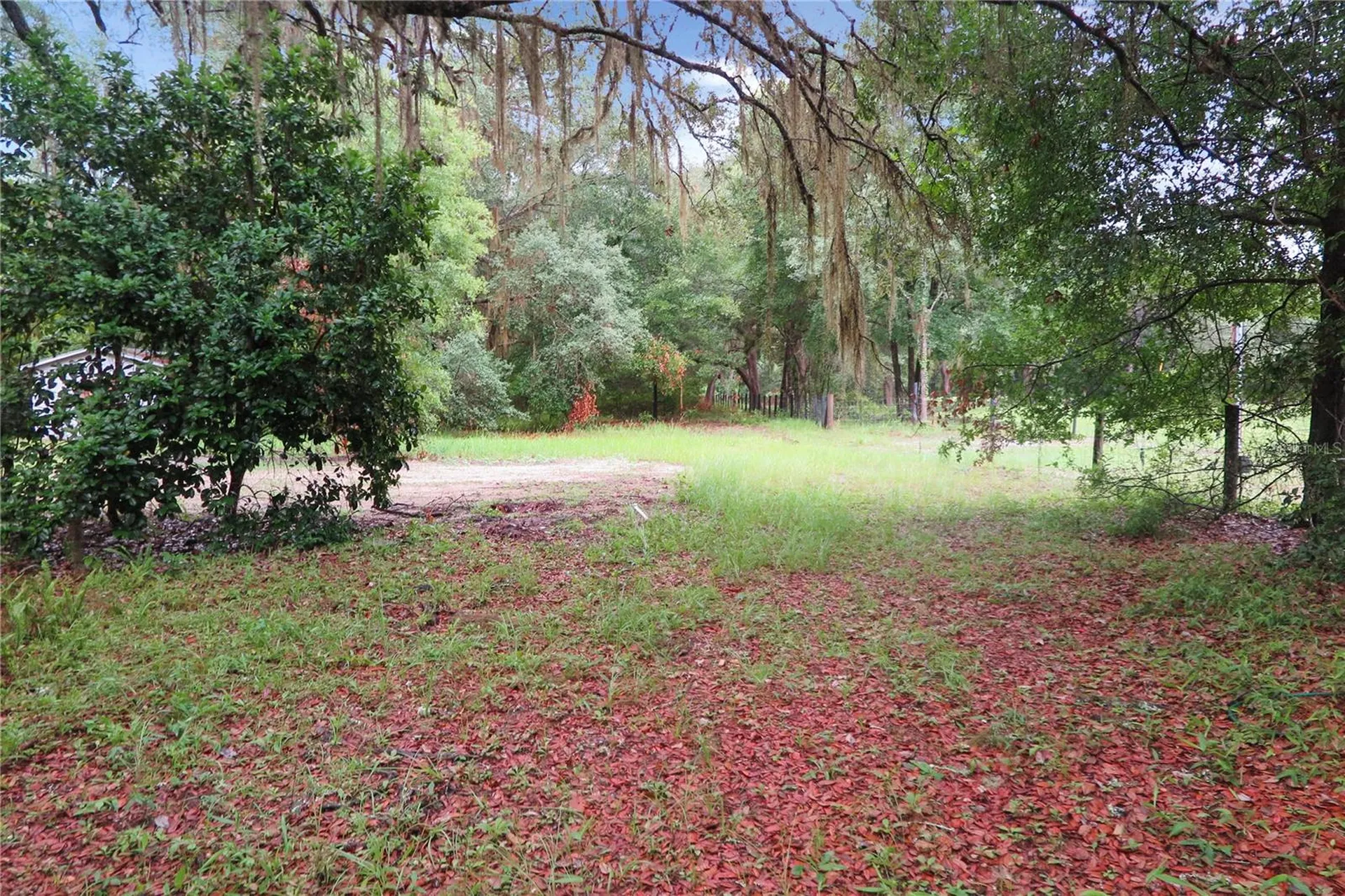 11519 SE 225th Drive Hawthorne FL 32640