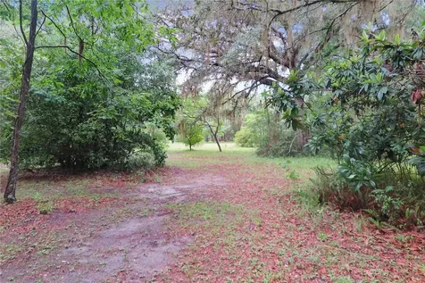 11519 SE 225th Drive Hawthorne FL 32640