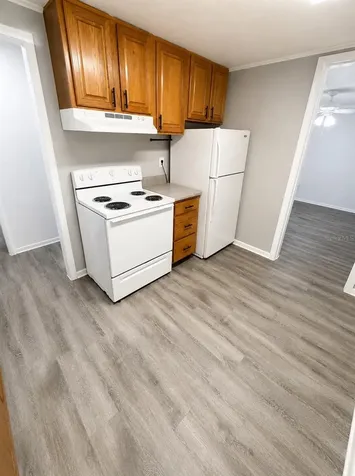 420-420 Mills Street Leesburg FL 34748