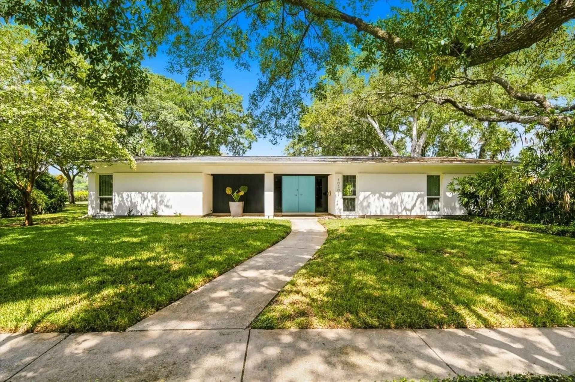 10502 Sago Road Tampa FL 33618