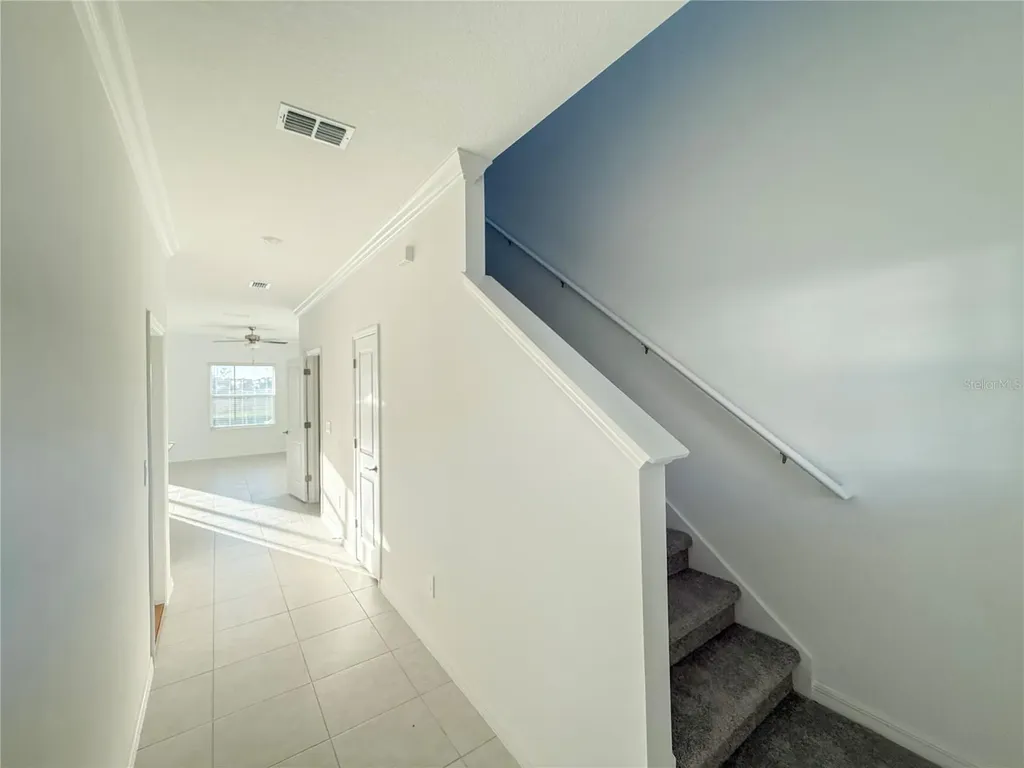 9001 Gallantree Place Land O Lakes FL 34637