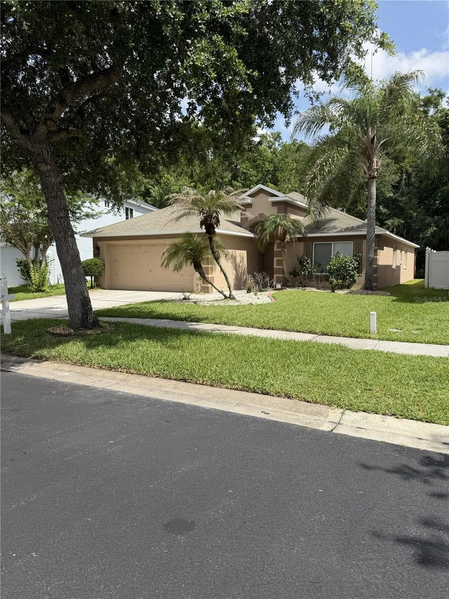 Land O Lakes FL 34639