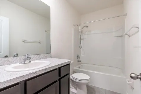 33028 Tulip Petal Lane Wesley Chapel FL 33545